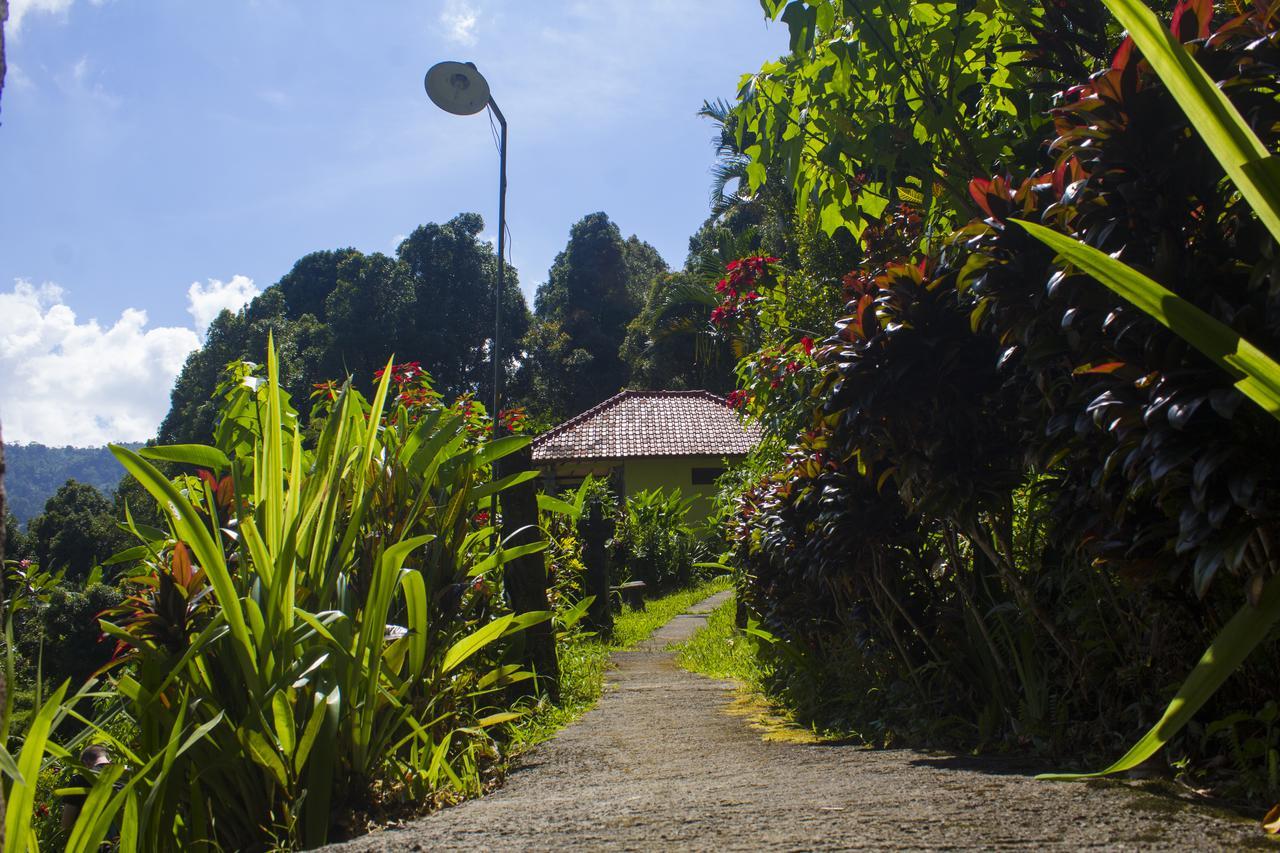 Aryautama Garden Villa Munduk  Ngoại thất bức ảnh