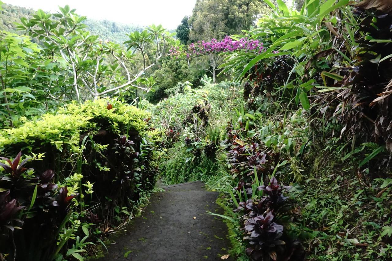 Aryautama Garden Villa Munduk  Ngoại thất bức ảnh